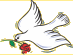 Dove carrying a rose in its beak