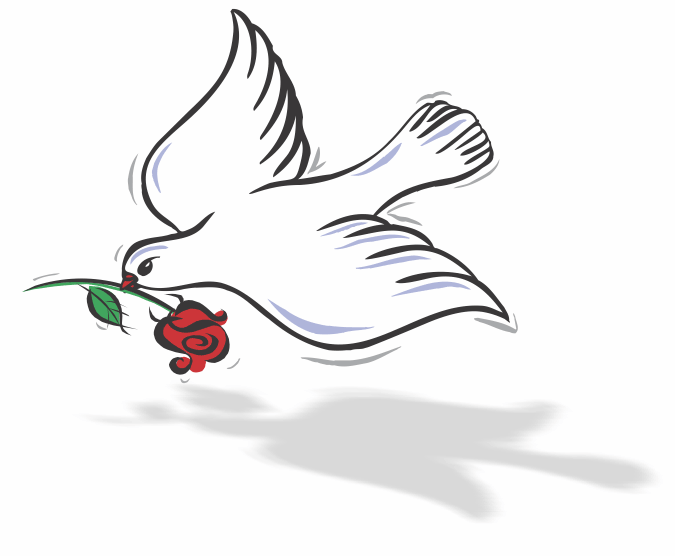 Dove carrying rose