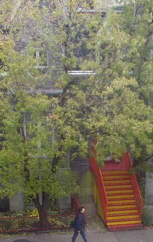 SSF-IIIHS Townhouse Centre